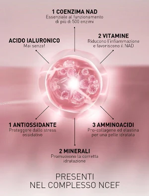 DUO NCEF REVITALIZE CREMA - Image 3