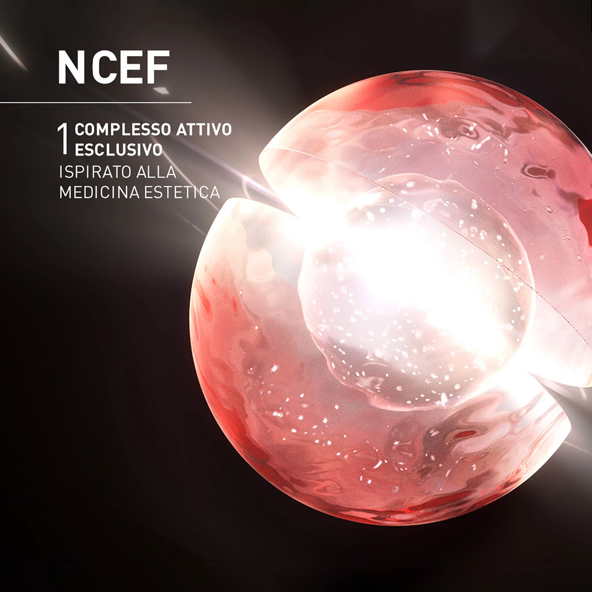 NCEF-ESSENCE - Image 2